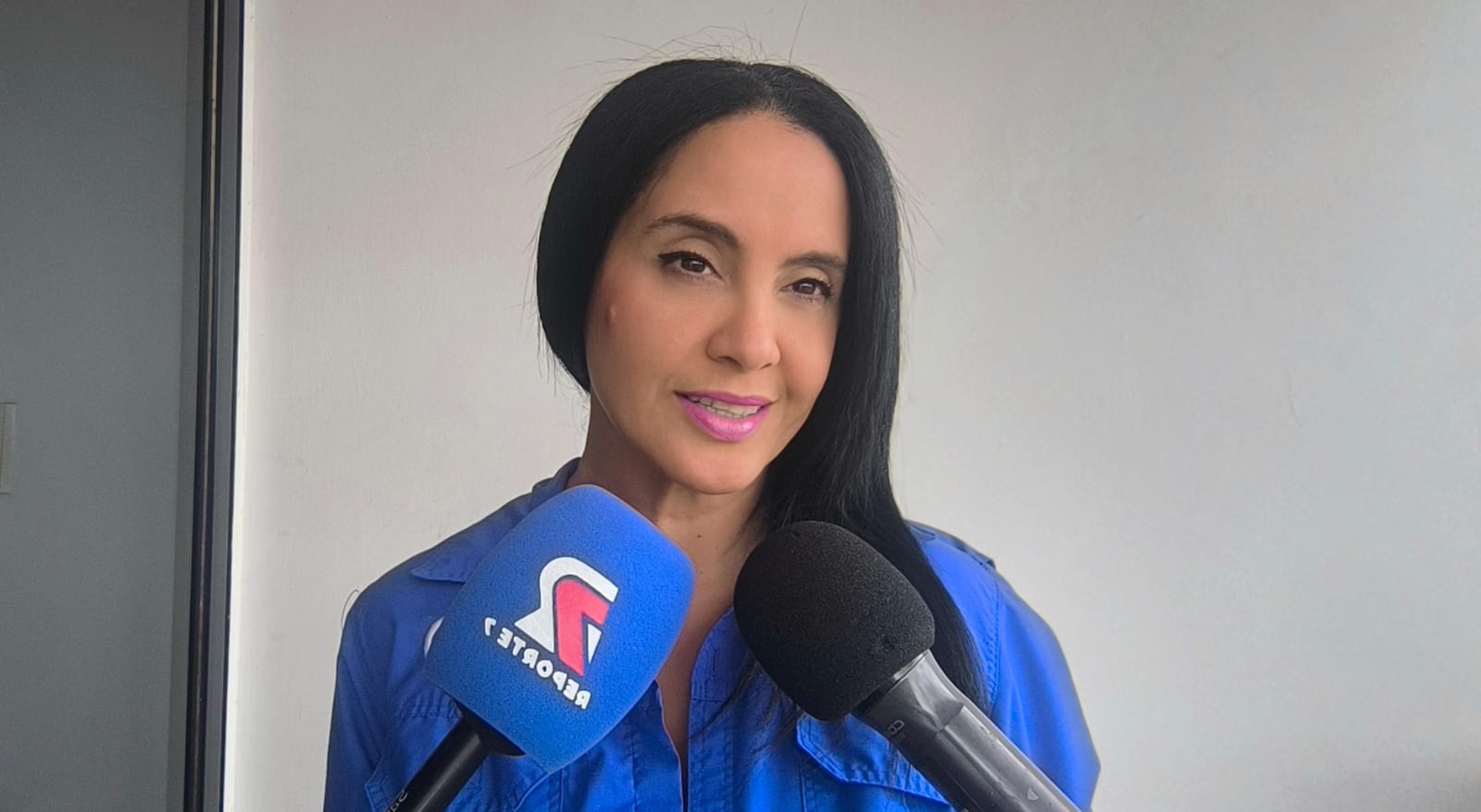 Secretaria General del Colegio Nacional de Periodistas - Seccional Carabobo, Ruth Lara Castillo